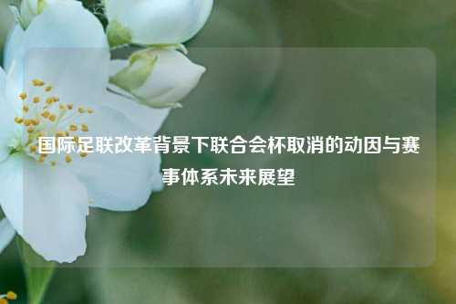 国际足联改革背景下联合会杯取消的动因与赛事体系未来展望