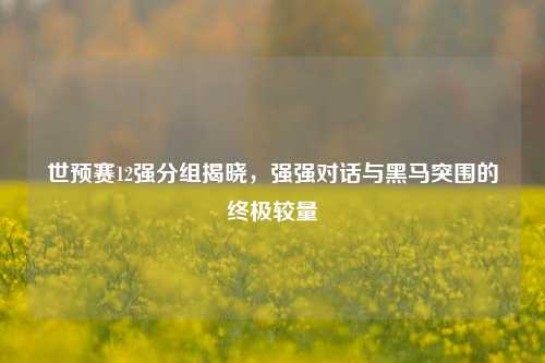 世预赛12强分组揭晓，强强对话与黑马突围的终极较量