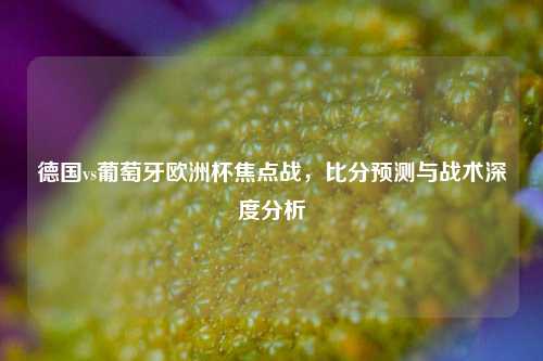 德国vs葡萄牙欧洲杯焦点战，比分预测与战术深度分析