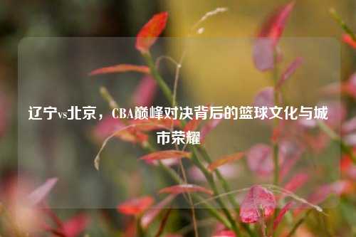 辽宁vs北京，CBA巅峰对决背后的篮球文化与城市荣耀