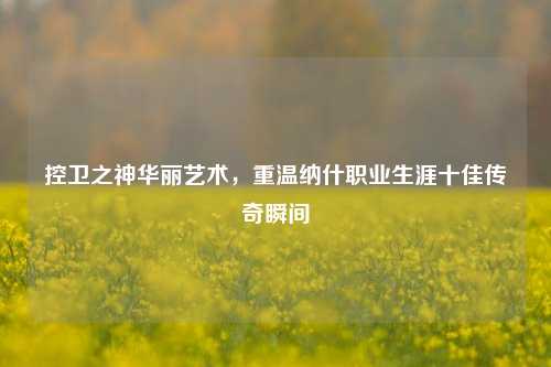 控卫之神华丽艺术，重温纳什职业生涯十佳传奇瞬间