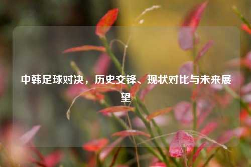 中韩足球对决，历史交锋、现状对比与未来展望