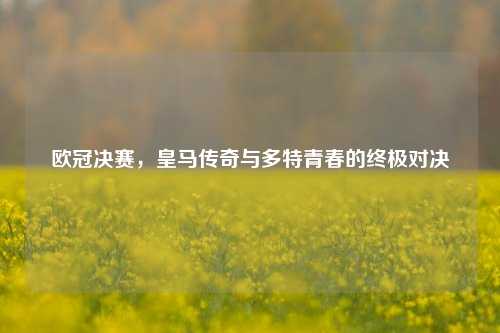 欧冠决赛，皇马传奇与多特青春的终极对决