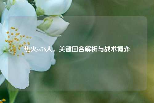热火vs76人，关键回合解析与战术博弈