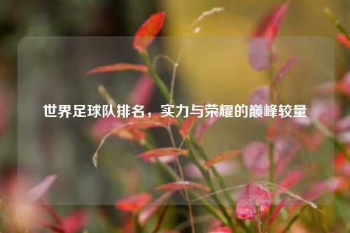 世界足球队排名，实力与荣耀的巅峰较量