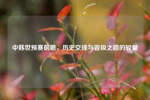 中韩世预赛前瞻，历史交锋与晋级之路的较量