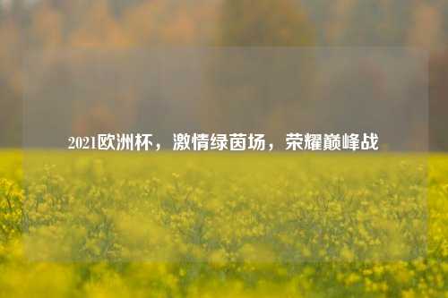 2021欧洲杯，激情绿茵场，荣耀巅峰战