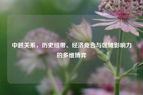 中越关系，历史纽带、经济竞合与区域影响力的多维博弈