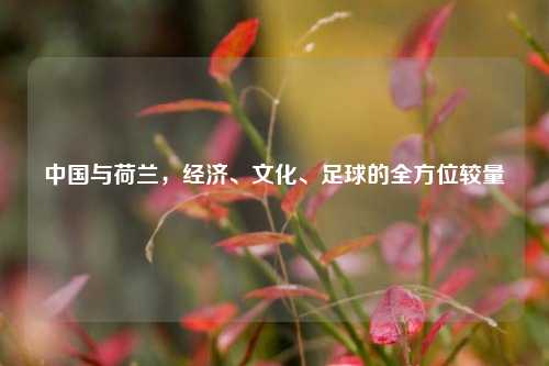 中国与荷兰，经济、文化、足球的全方位较量