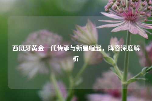 西班牙黄金一代传承与新星崛起，阵容深度解析