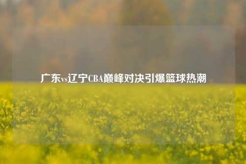 广东vs辽宁CBA巅峰对决引爆篮球热潮