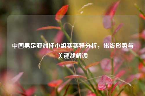 中国男足亚洲杯小组赛赛程分析，出线形势与关键战解读