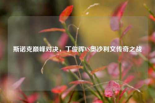 斯诺克巅峰对决，丁俊晖VS奥沙利文传奇之战