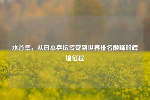 水谷隼，从日本乒坛传奇到世界排名巅峰的辉煌征程