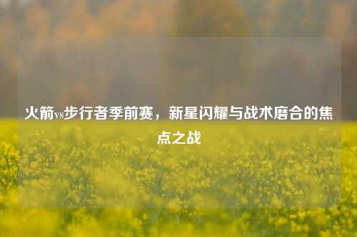 火箭vs步行者季前赛，新星闪耀与战术磨合的焦点之战