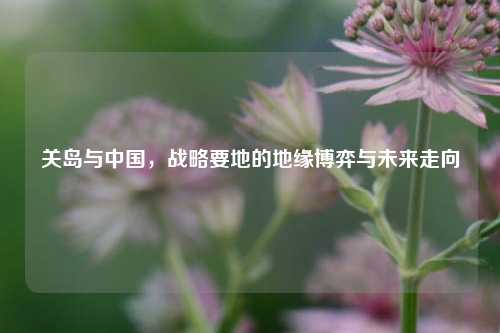 关岛与中国，战略要地的地缘博弈与未来走向