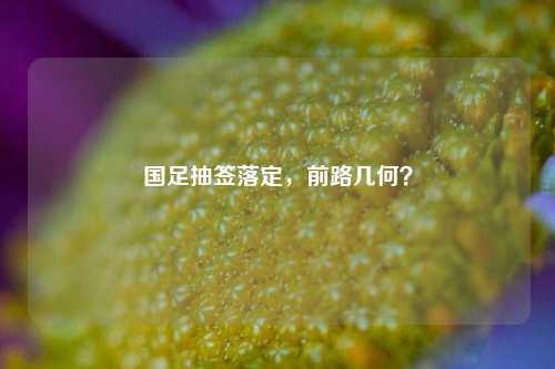 国足抽签落定，前路几何？