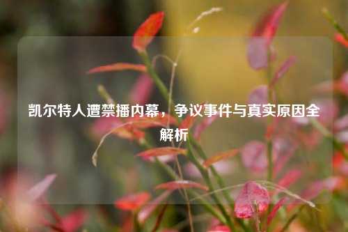 凯尔特人遭禁播内幕，争议事件与真实原因全解析