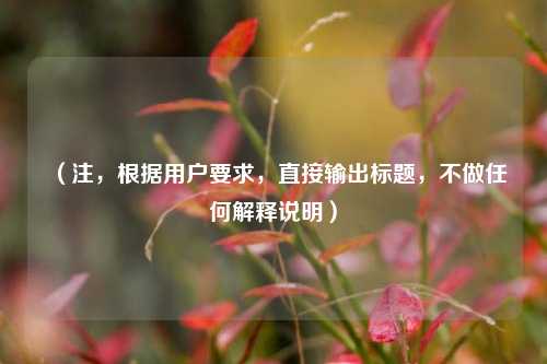 （注，根据用户要求，直接输出标题，不做任何解释说明）