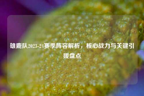 雄鹿队2023-24赛季阵容解析，核心战力与关键引援盘点