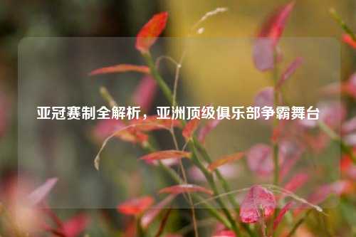 亚冠赛制全解析，亚洲顶级俱乐部争霸舞台