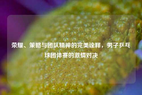 荣耀、策略与团队精神的完美诠释，男子乒乓球团体赛的激情对决