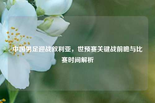 中国男足迎战叙利亚，世预赛关键战前瞻与比赛时间解析