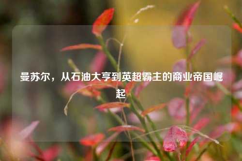 曼苏尔，从石油大亨到英超霸主的商业帝国崛起
