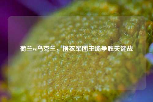 荷兰vs乌克兰，橙衣军团主场争胜关键战