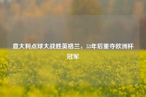 意大利点球大战胜英格兰，53年后重夺欧洲杯冠军