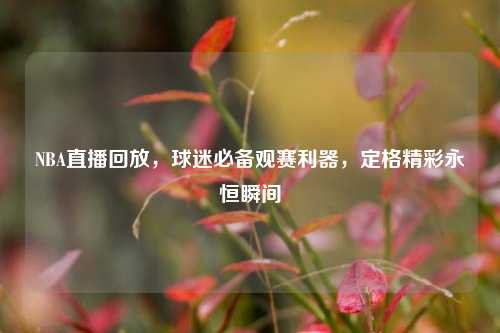 NBA直播回放，球迷必备观赛利器，定格精彩永恒瞬间