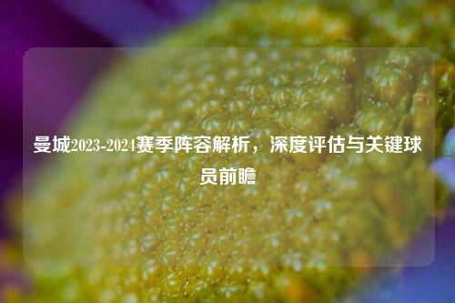 曼城2023-2024赛季阵容解析，深度评估与关键球员前瞻