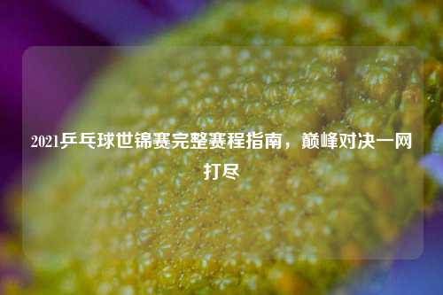 2021乒乓球世锦赛完整赛程指南，巅峰对决一网打尽