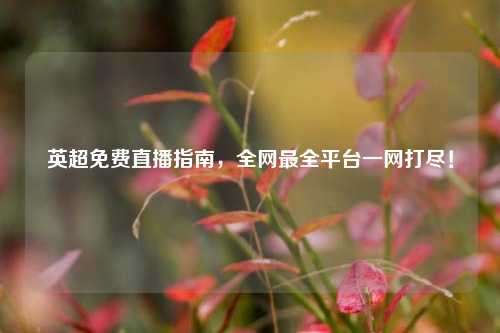 英超免费直播指南，全网最全平台一网打尽！