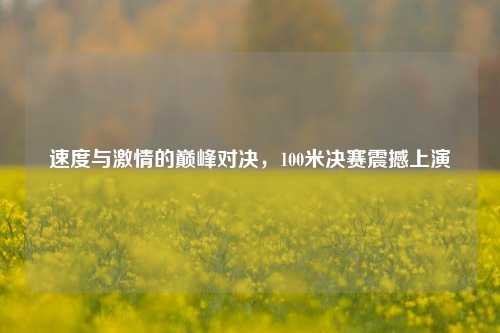 速度与激情的巅峰对决，100米决赛震撼上演