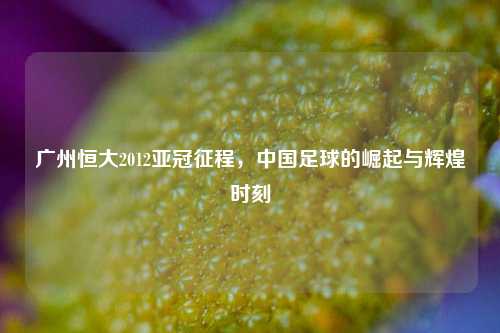 广州恒大2012亚冠征程，中国足球的崛起与辉煌时刻