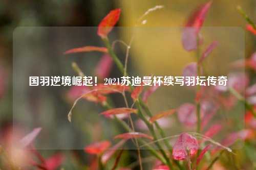 国羽逆境崛起！2021苏迪曼杯续写羽坛传奇