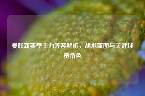 曼联新赛季主力阵容解析，战术蓝图与关键球员角色