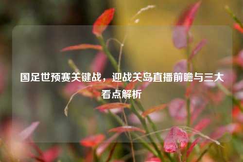 国足世预赛关键战，迎战关岛直播前瞻与三大看点解析