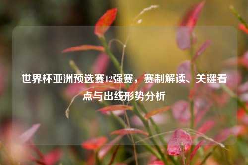 世界杯亚洲预选赛12强赛，赛制解读、关键看点与出线形势分析