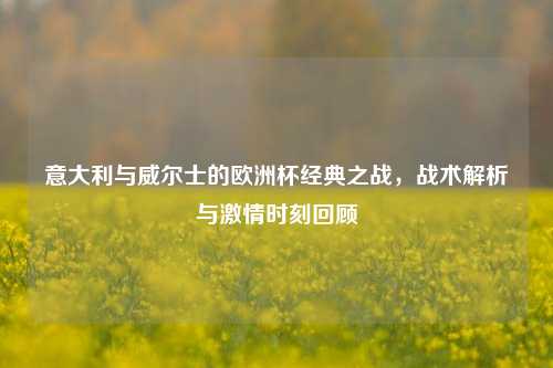 意大利与威尔士的欧洲杯经典之战，战术解析与激情时刻回顾