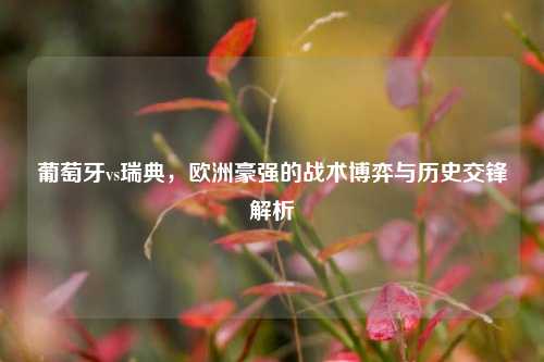 葡萄牙vs瑞典，欧洲豪强的战术博弈与历史交锋解析