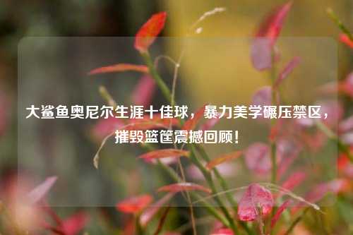 大鲨鱼奥尼尔生涯十佳球，暴力美学碾压禁区，摧毁篮筐震撼回顾！