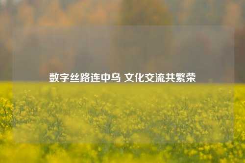 数字丝路连中乌 文化交流共繁荣
