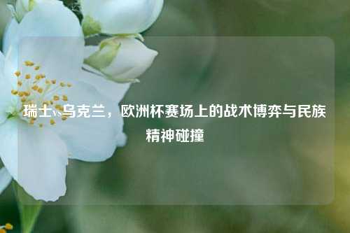 瑞士vs乌克兰，欧洲杯赛场上的战术博弈与民族精神碰撞
