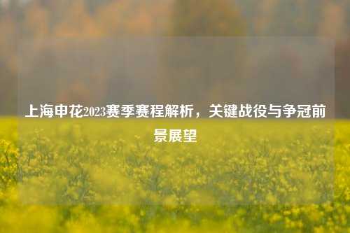上海申花2023赛季赛程解析，关键战役与争冠前景展望