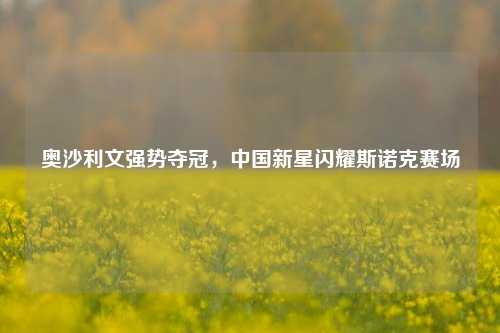 奥沙利文强势夺冠,中国新星闪耀斯诺克赛场