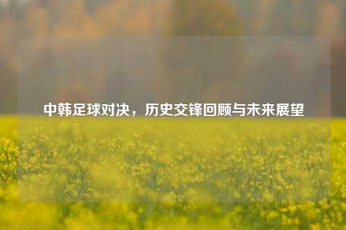 中韩足球对决，历史交锋回顾与未来展望