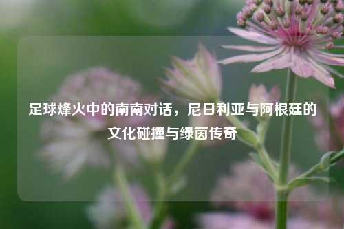 足球烽火中的南南对话,尼日利亚与阿根廷的文化碰撞与绿茵传奇