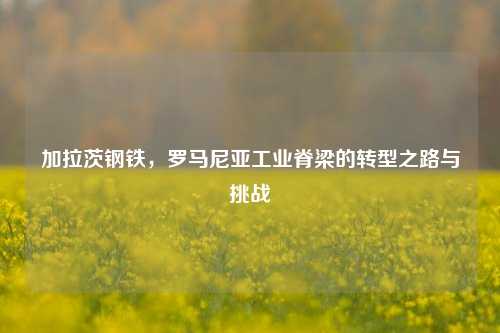 加拉茨钢铁,罗马尼亚工业脊梁的转型之路与挑战